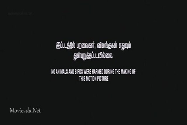 Meow (2016) Single Part (480x320).mp4