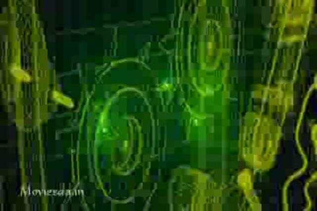 Alex Pandian (2014) Part-1.mp4