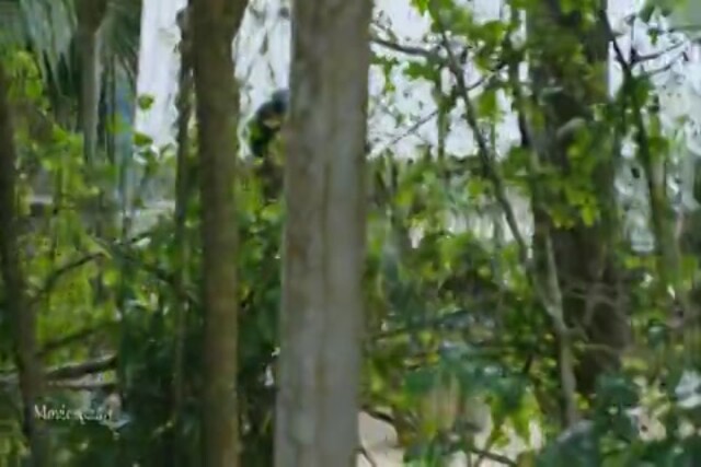 Raja Manthiri HD Sample.mp4