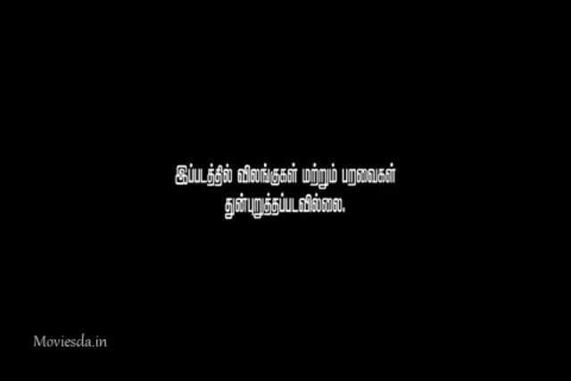 Thappattam (480x320).mp4