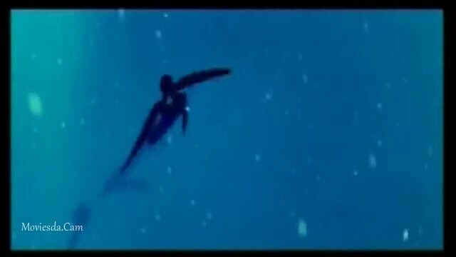 Pidichirukku 2008 HD.mp4