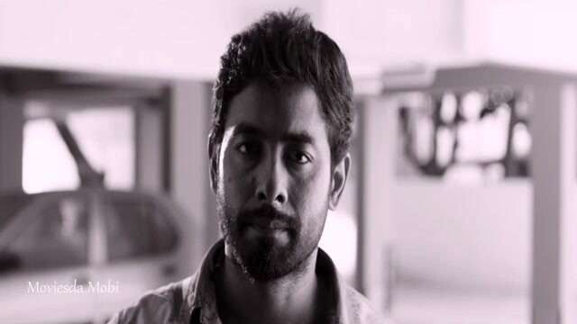 Maya 2015 HD Sample.mp4