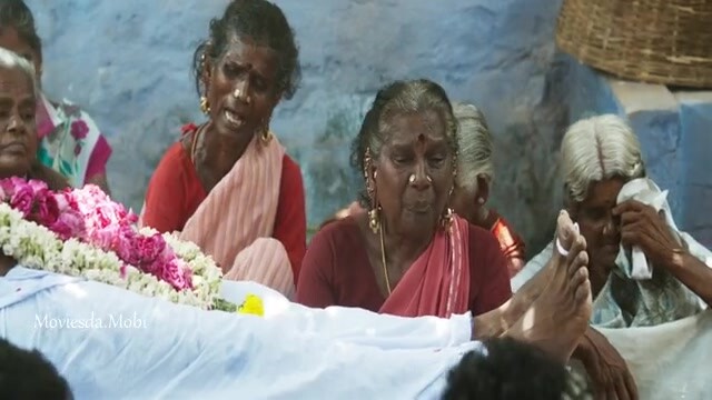 Aelay 2021 HD Sample.mp4