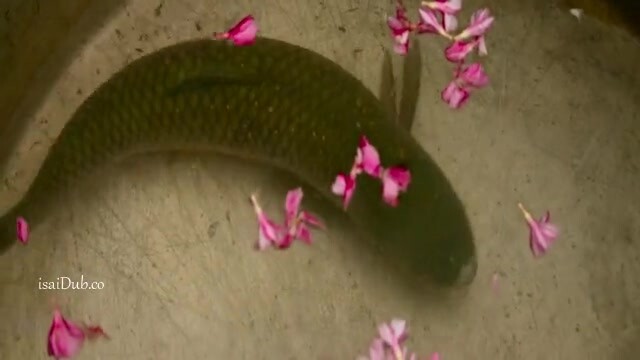 Karnan 2021 HD Sample.mp4