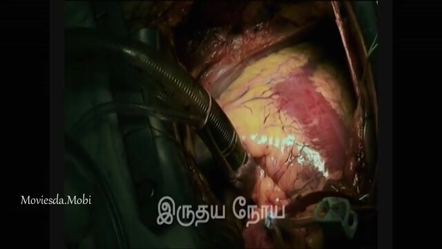 K.G.F Chapter 1 2018 HD.mp4