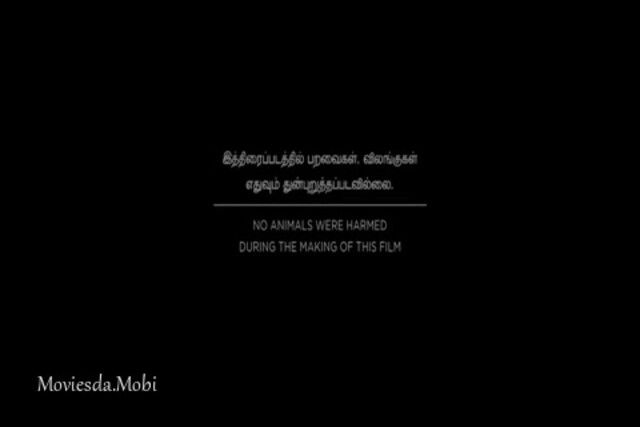 Anel Meley Panithuli 2022.mp4