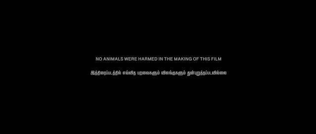 Moviesda.Mobi - Witness 2022 Original 720p HD.mp4