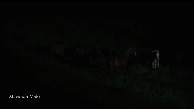 Masooda 2023 HD.mp4