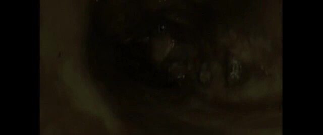 Moviesda.Mobi - 800 2023 Original 720p HD.mp4