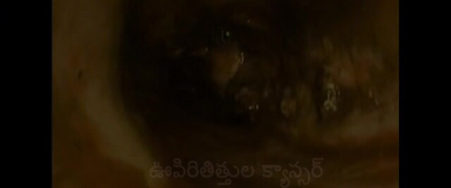 Moviesda.Mobi - Extra Ordinary Man 2023 Original 720p HD.mp4