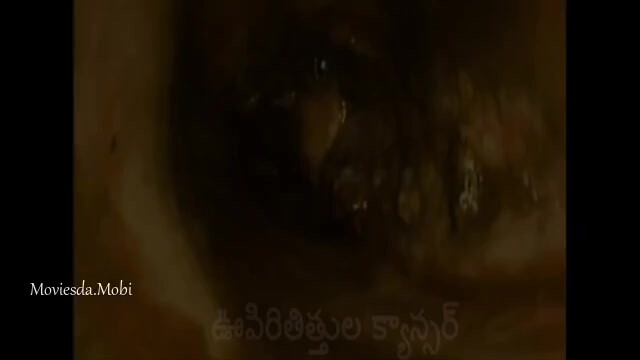Extra Ordinary Man 2023 HD.mp4