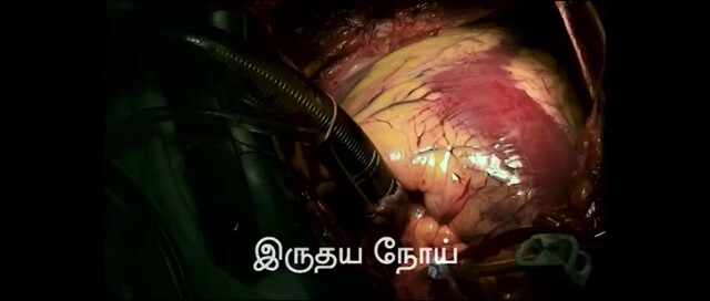 Moviesda.Mobi - Salt 2024 Original 720p HD (650MB).mp4