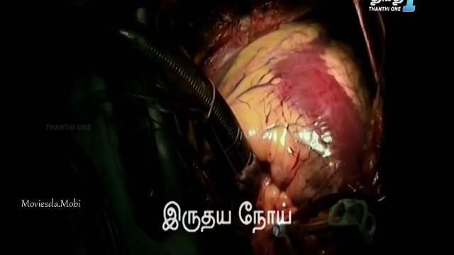 Second Show 2024 HD.mp4