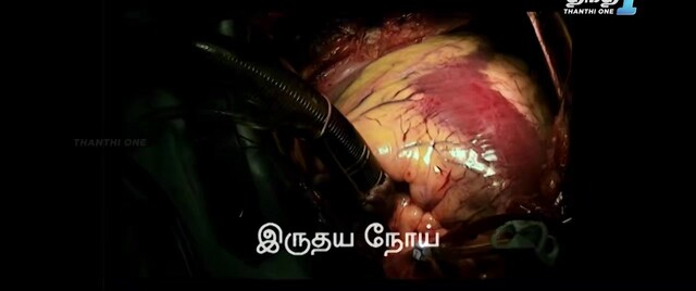 Moviesda.Mobi - Sugarless 2022 Original 720p HD (700MB).mp4