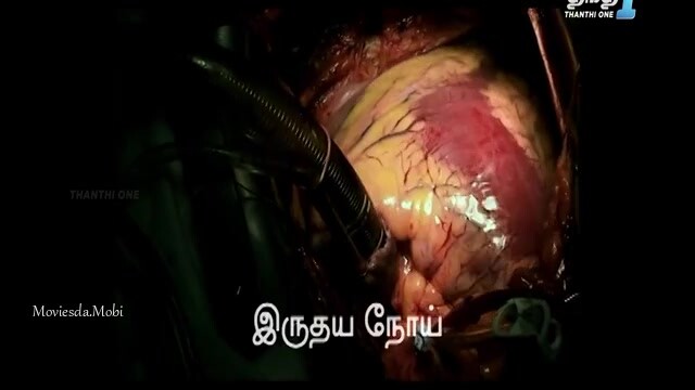 Adventures of Mahaan 2024 HD.mp4
