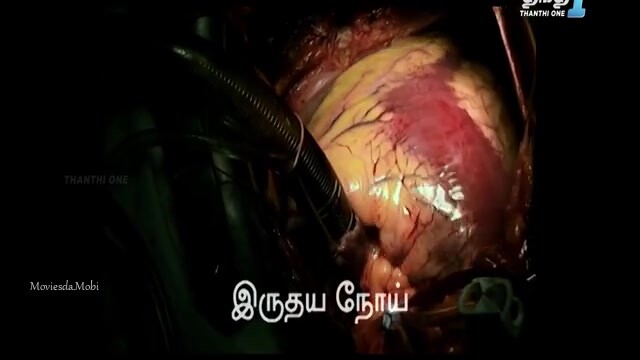 Richie Kalyanam 2024 HD.mp4