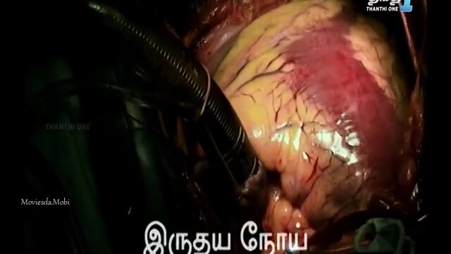 True 2024 HD.mp4