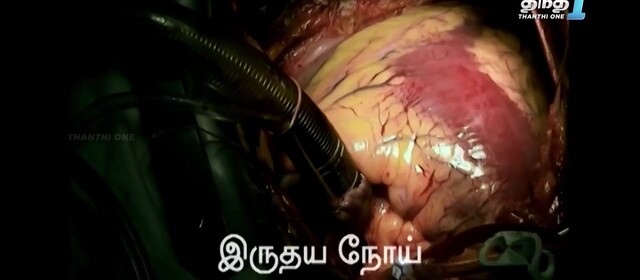 Moviesda.Mobi - Murattu Singathin Adithadi 2024 Original 720p HD.mp4