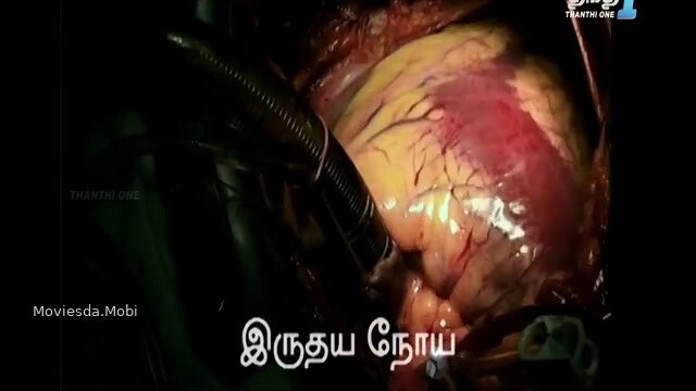 IPL Its Pure Love 2024 360p HD.mp4
