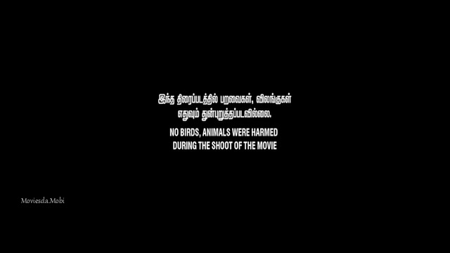 Kalan 2025 Original 360p HD.mp4