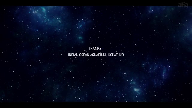 Moviesda.Mobi - Vaanil Thedinen 2025 Season 06 (Epi 02).mp4