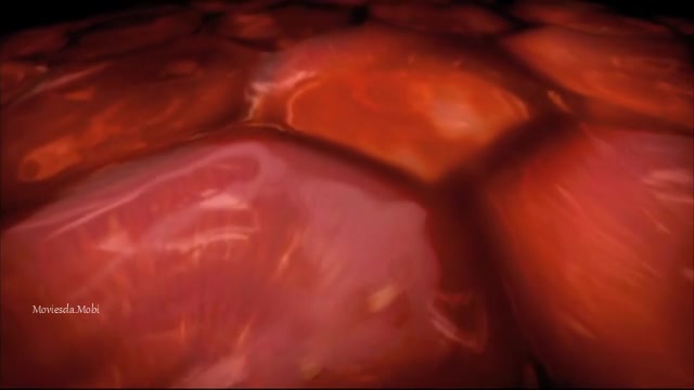 Naan Ee 2012 Original 360p HD.mp4