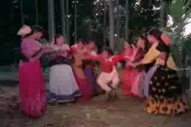 Shankar Guru Sample.mp4