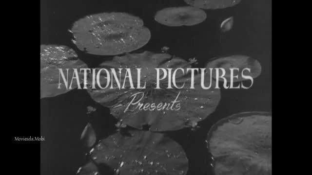 Moviesda.Mobi - Parasakthi 1952 Original 360p HD.mp4