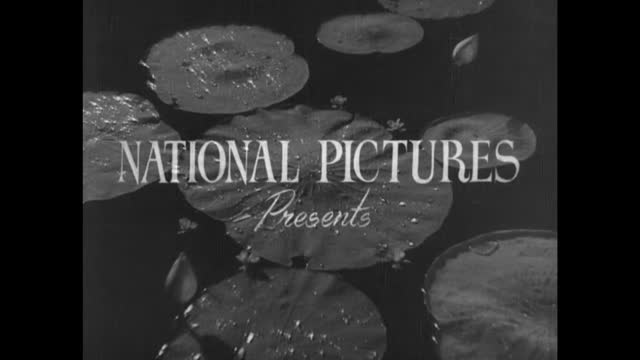Moviesda.Mobi - Parasakthi 1952 Original 720p HD (950 MB).mp4