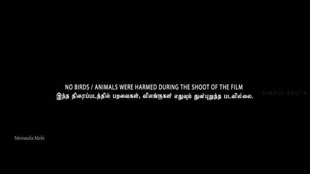 Moviesda.Mobi - Right 2025 Original 360p HD.mp4
