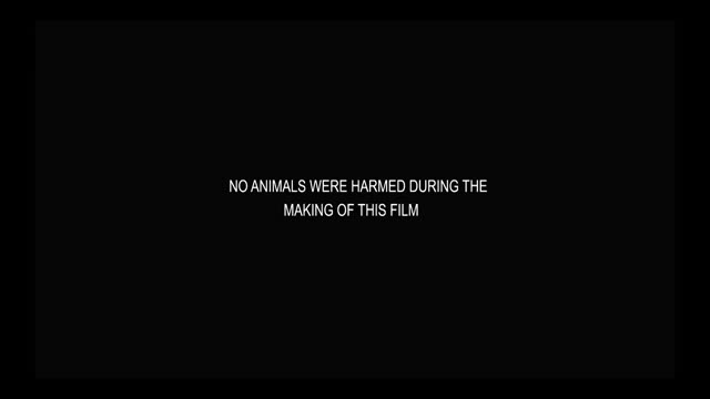 Moviesda.Mobi - Anjaan 2014 Original 720p HD (950 MB).mp4