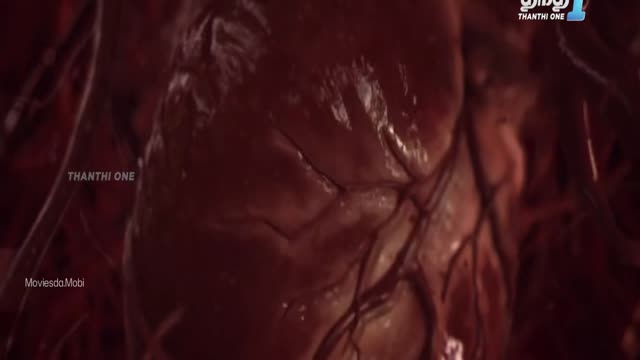 Moviesda.Mobi - 3G A Killer Connection 2013 Original 720p HD (950 MB).mp4