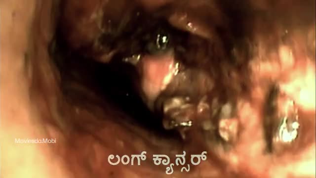 Moviesda.Mobi - Vritta 2025 Original 360p HD.mp4