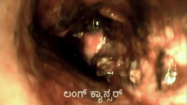 Moviesda.Mobi - Vritta 2025 Original 720p HD (850 MB).mp4