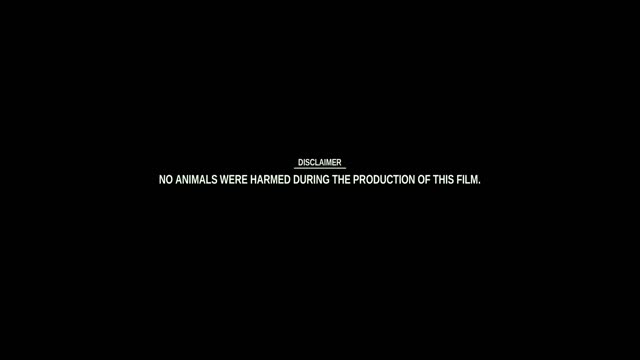 Moviesda.Mobi - Honey 2026 Original 1080p HD.mp4