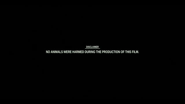 Honey 2026 Original 720p HD (600 MB).mp4